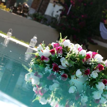 Villa Sourouko Paliouri Dış mekan fotoğraf