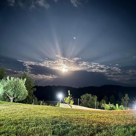 Villa Sourouko Paliouri Dış mekan fotoğraf